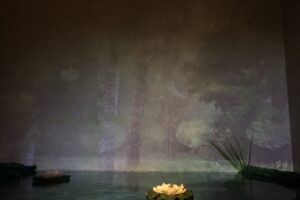 Bild från utställning om naturen. En lila projektion på väggen.